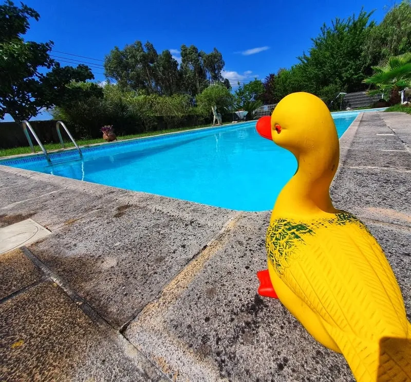 Projeto BL Piscinas